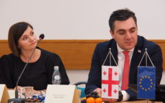 Wizyta Ambasadora Gruzji w Polsce i podpisanie Listu Intencyjnego ws. współpracy z Powiatem Działdowskim (film)