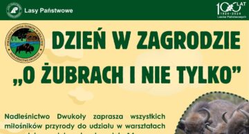 Zaplanuj „dzień w zagrodzie” w siedzibie Nadleśnictwa Dwukoły!