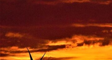 Gminy: Działdowo i Płośnica oraz EZG „Działdowszczyzna”  beneficjentami funduszy europejskich, przeznaczonych na odnawialne źródła energii!