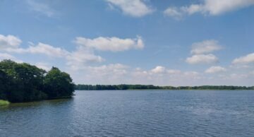 Zaproszenie do udziału w 13. edycji Konkursu o nagrodę im. prof. Janiny Wengris