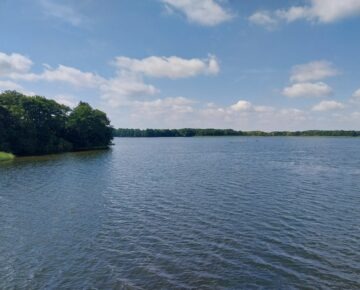 Zaproszenie do udziału w 13. edycji Konkursu o nagrodę im. prof. Janiny Wengris