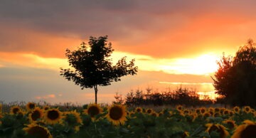 Zaproszenie do udziału w konkursie „Niebiesko-zielone granty dla Warmii i Mazur”