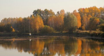 Ranking aktywności gmin w ogólnopolskim Programie „Czyste Powietrze” 2025