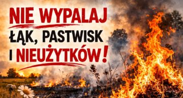 Nie wypalaj trawy! To nielegalne!