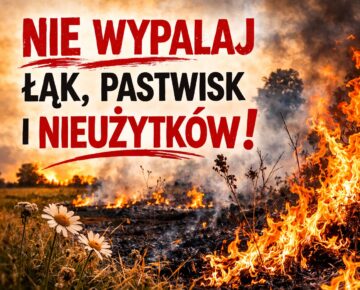 Nie wypalaj trawy! To nielegalne!