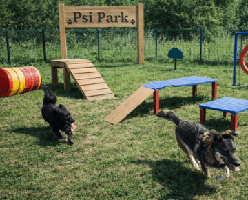 "Psi Park" w Działdowie zaprasza pieski do zabawy!