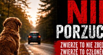 Nie porzucaj! To nie są przedmioty!