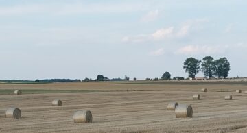 Zaproszenie do udziału w konkursie „Laur Agrobiznesu 2026”